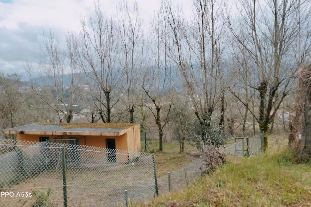Confort, Fun And Leisure In Douro Rural Space Sande  Экстерьер фото
